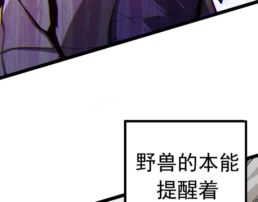 第224页