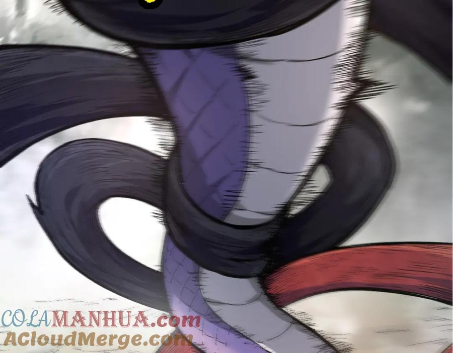 第273页