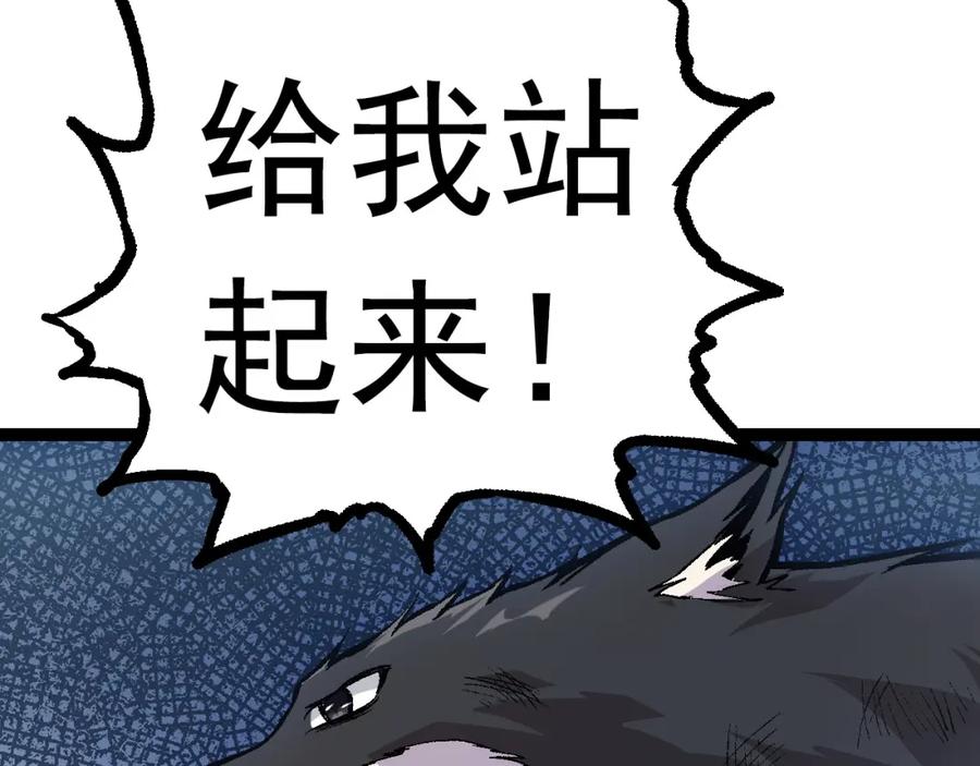 第207页
