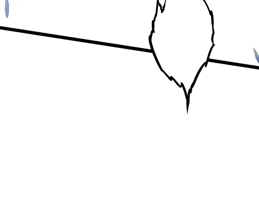 第223页
