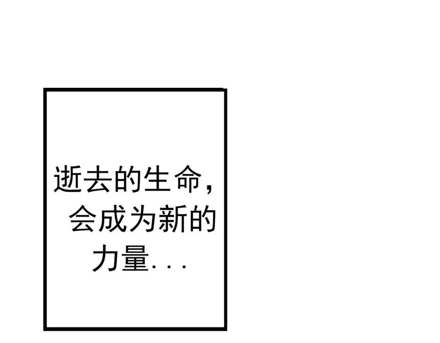 第250页