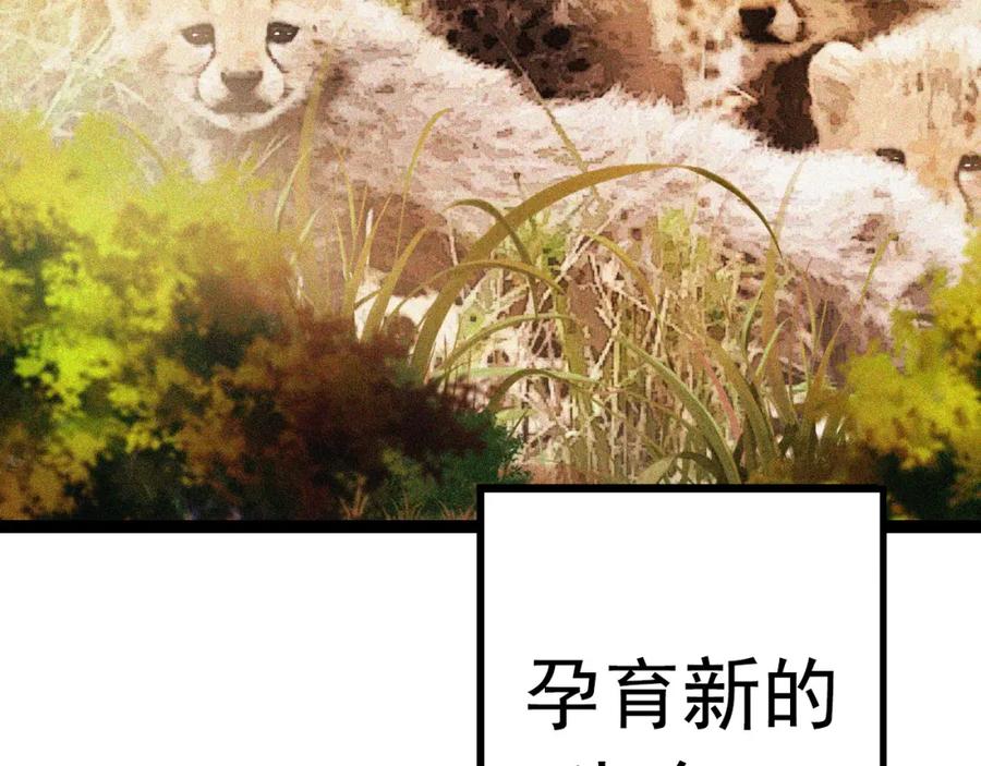 第252页