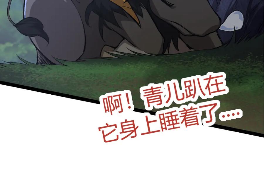 第204页