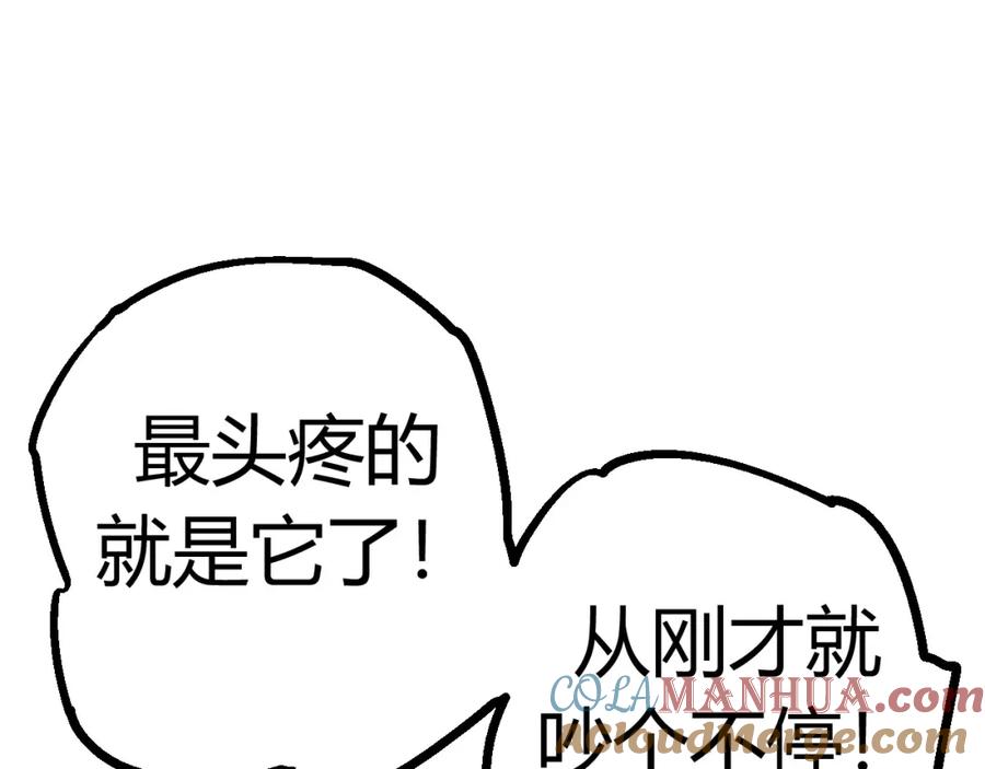 第205页