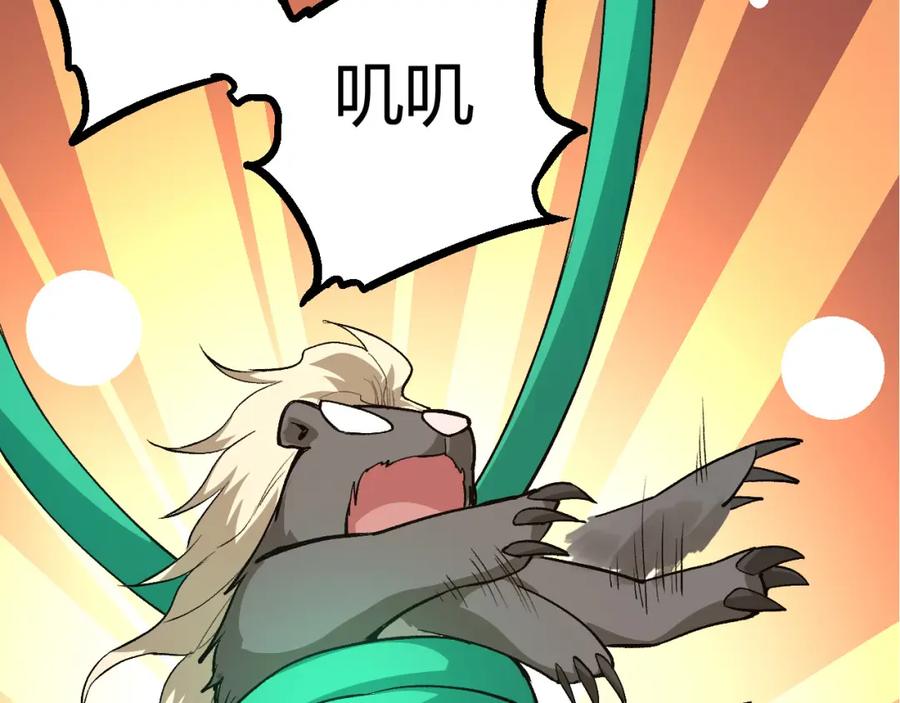 第207页