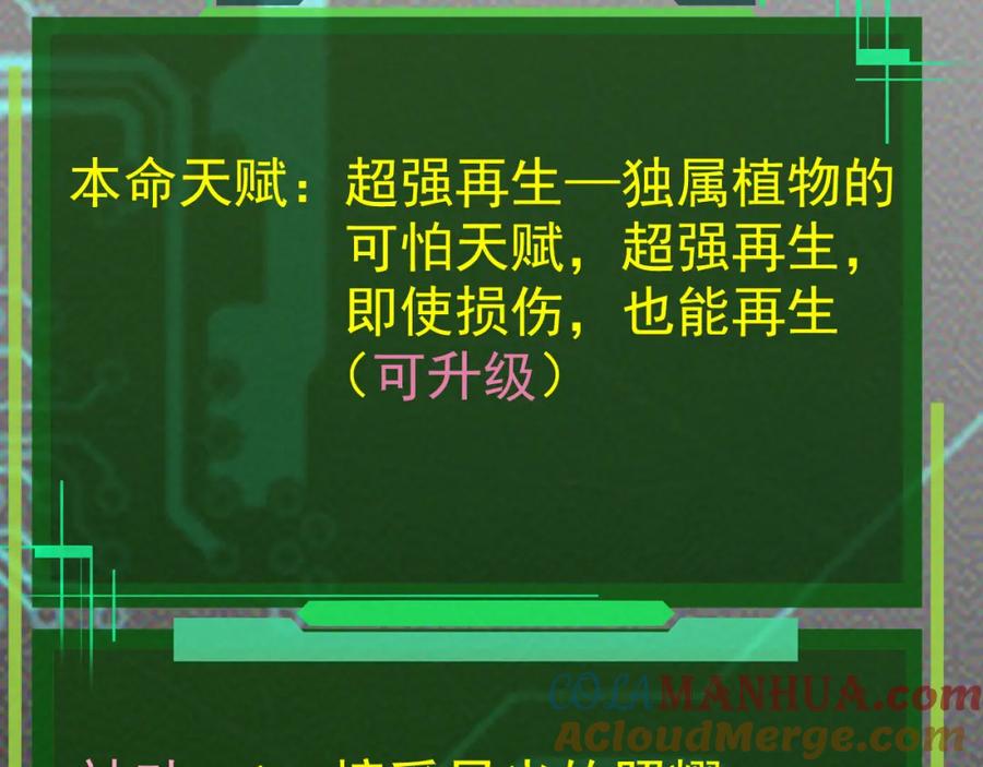 第217页