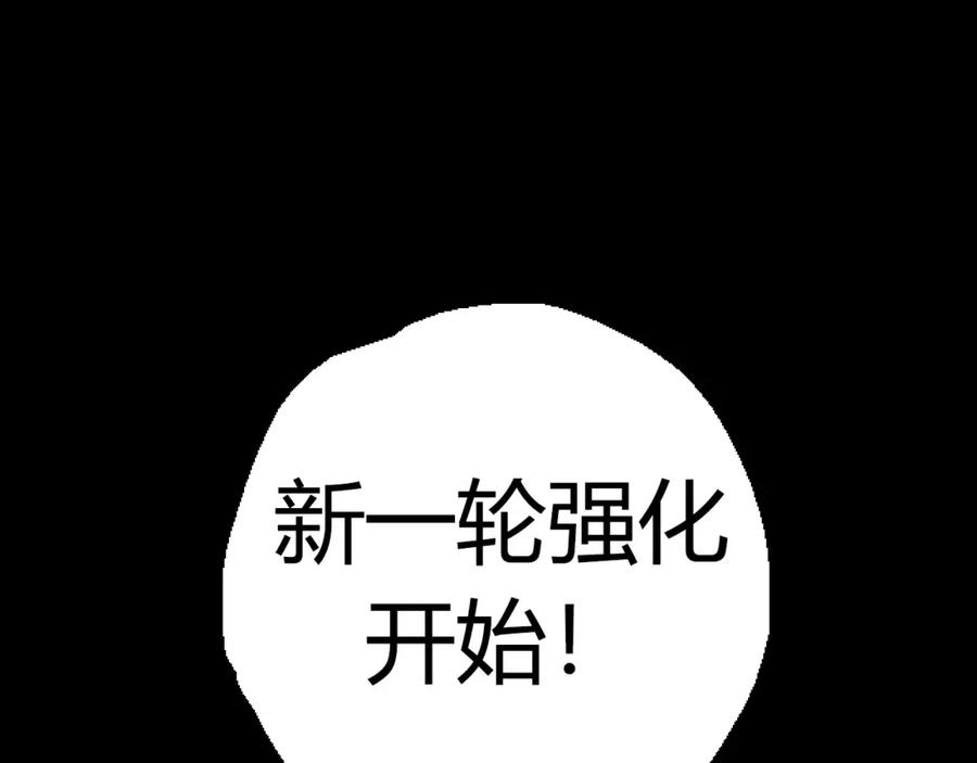 第223页