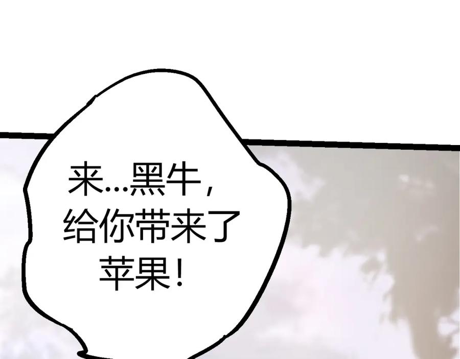第215页