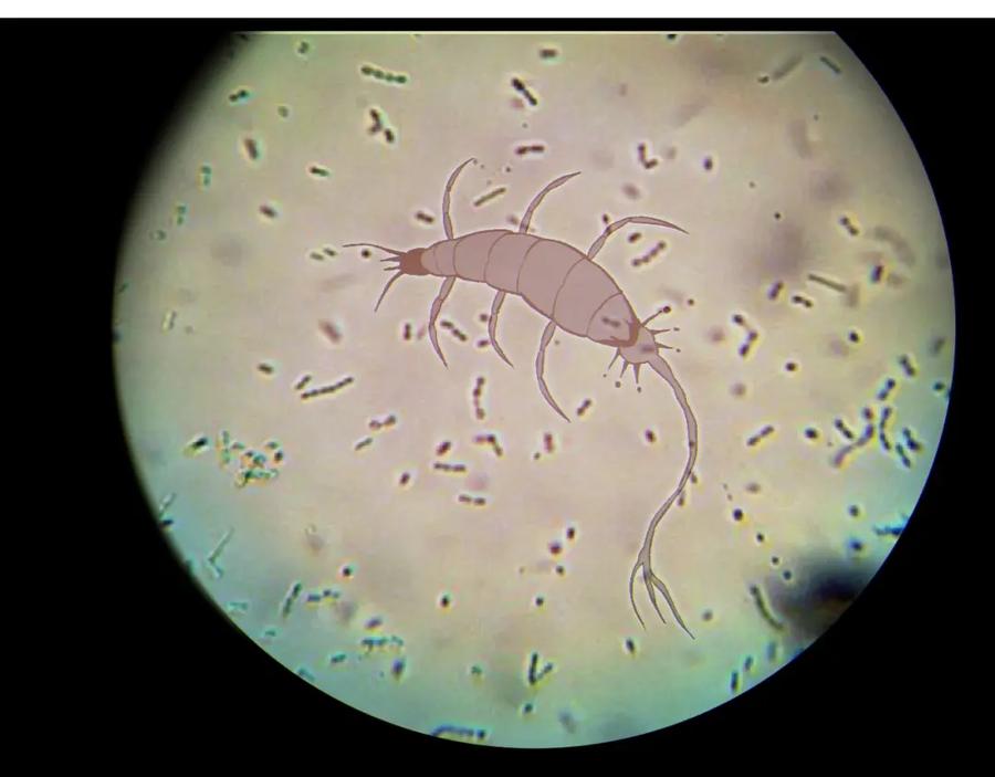 第130页