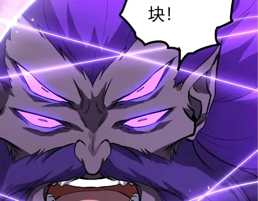 第206页