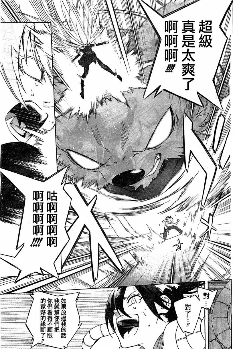 第41页