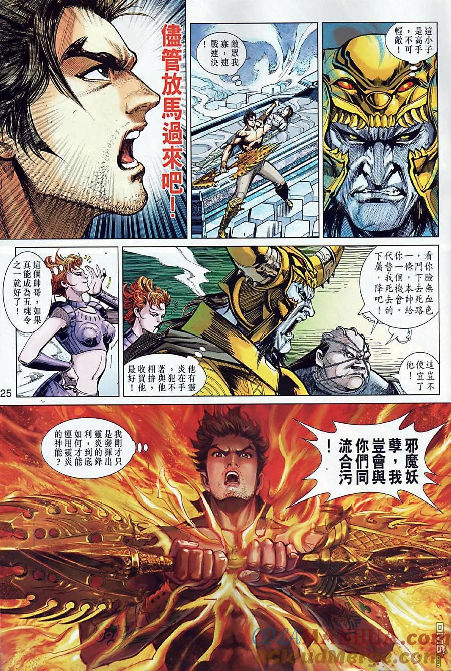 第25页