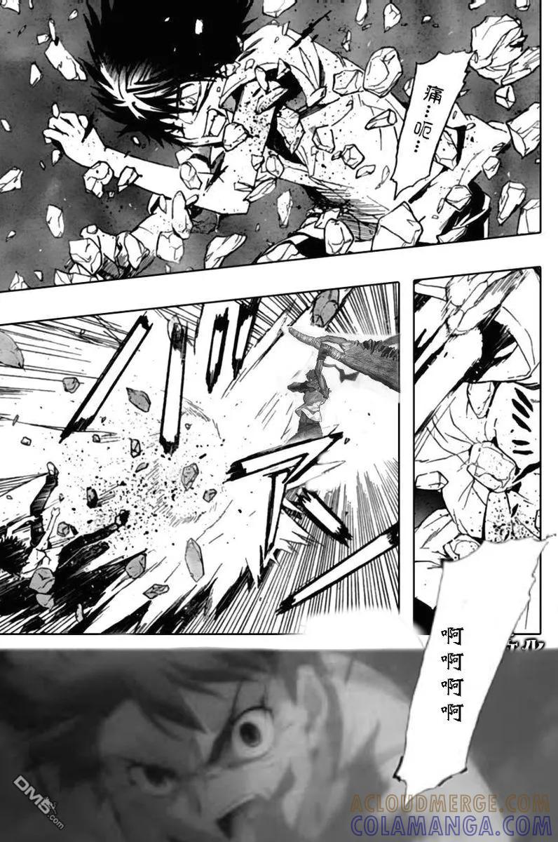 第193页