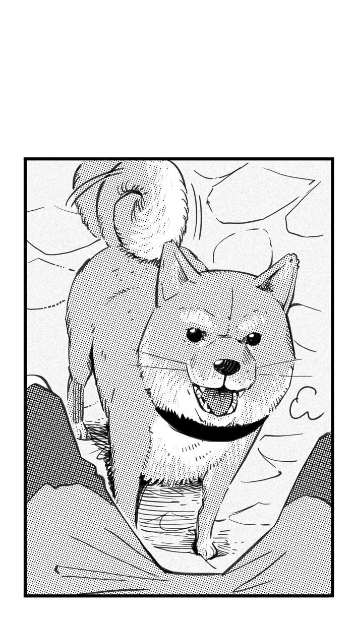 第60页