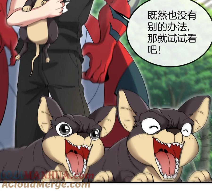 第57页