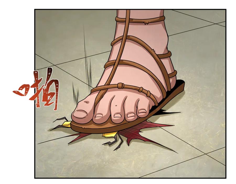 第146页