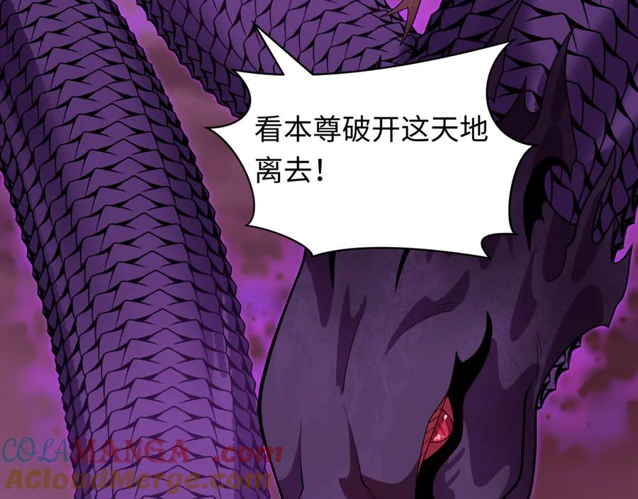 第209页