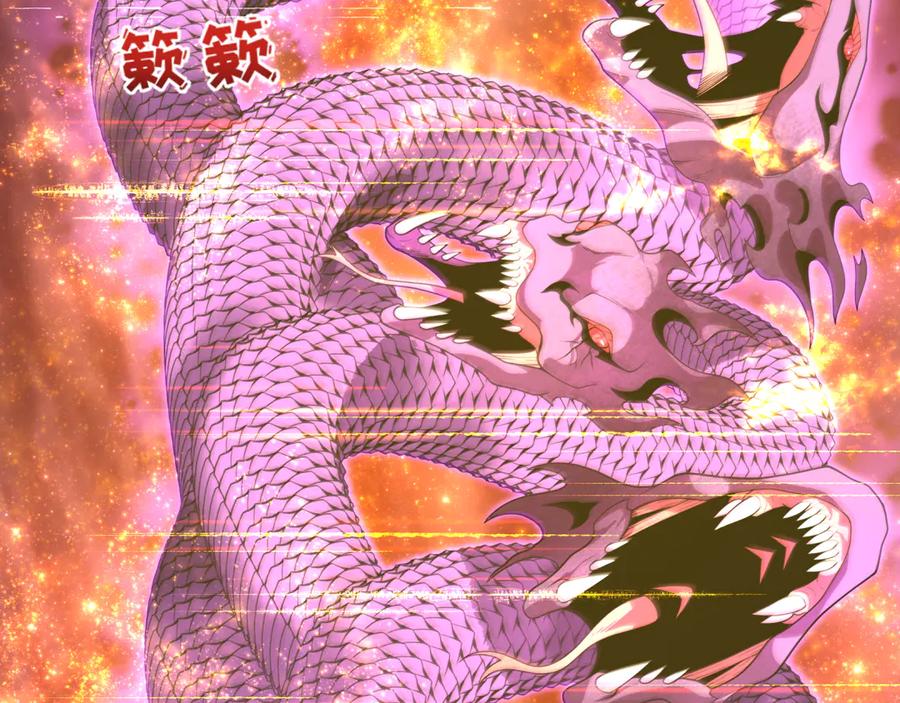第215页