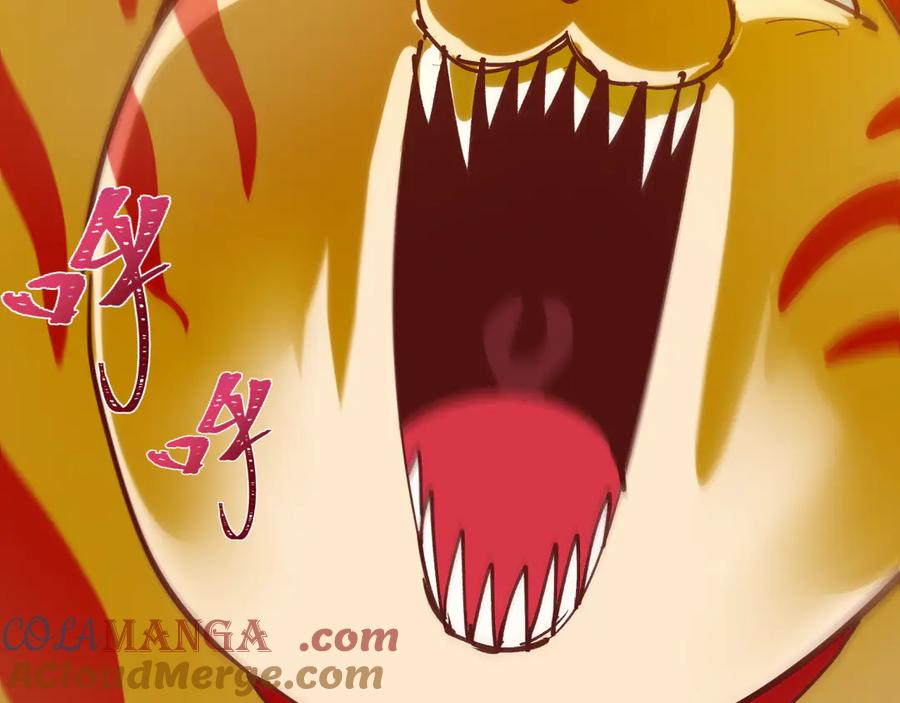 第205页