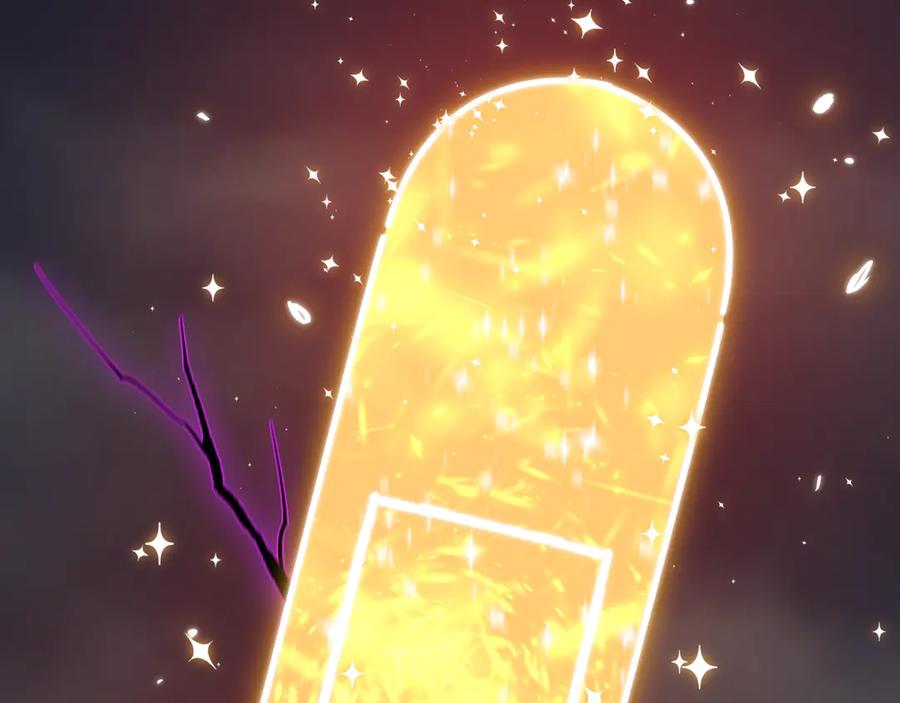 第206页