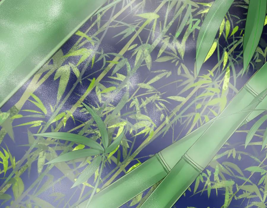 第246页