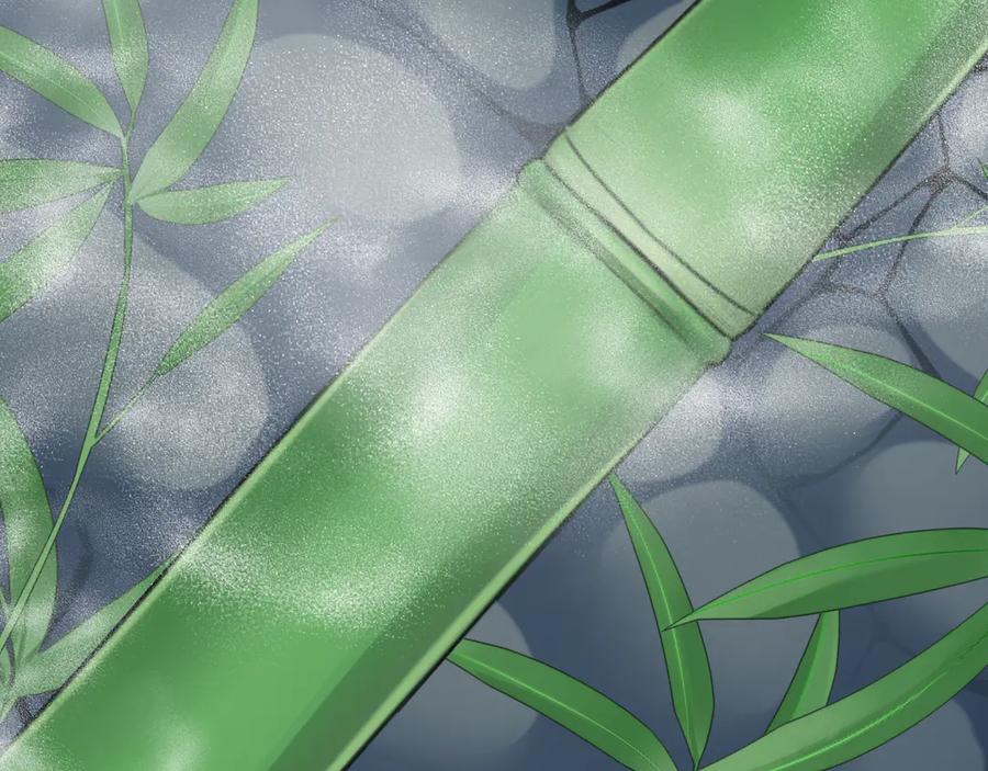 第250页