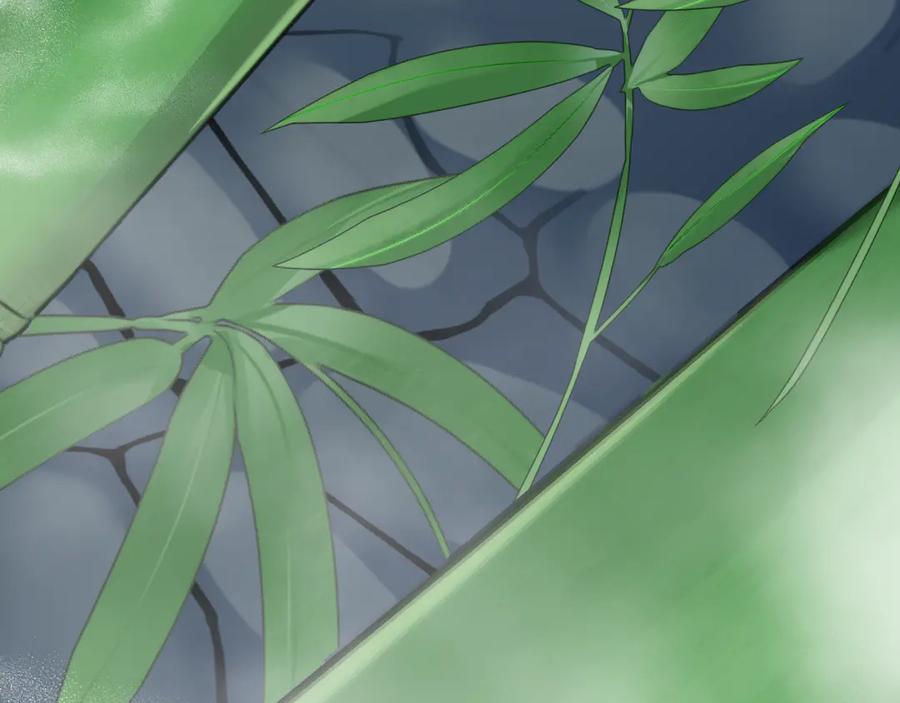 第251页