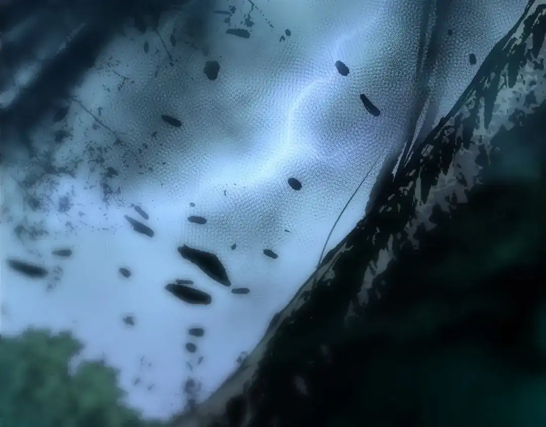 第53页