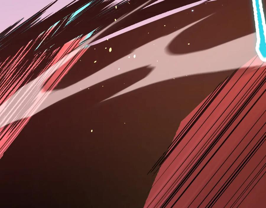 第206页