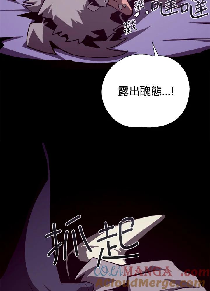 第205页
