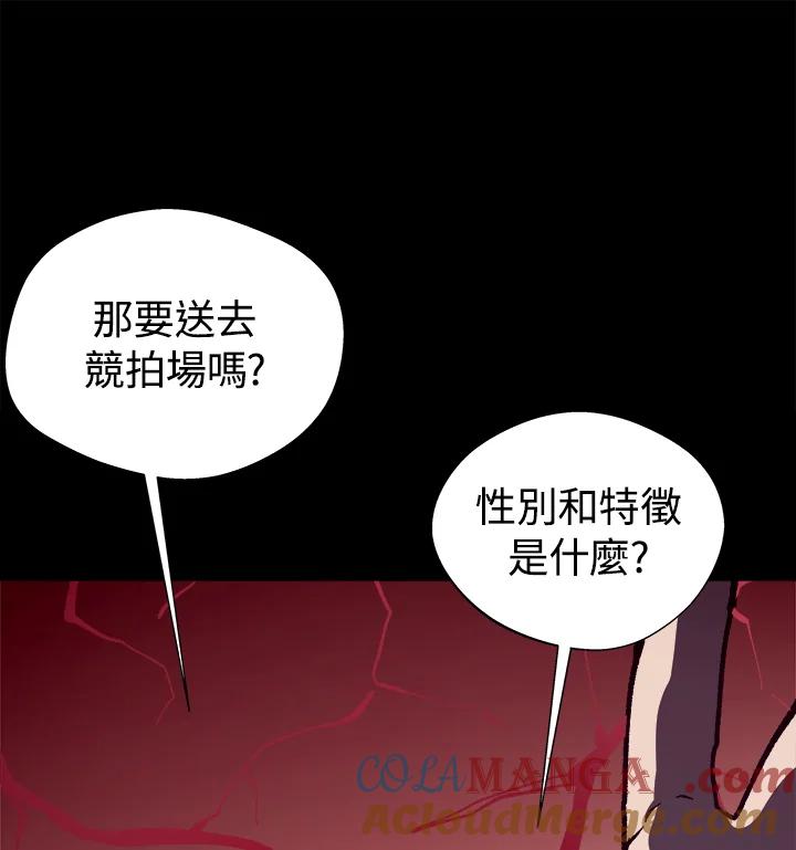 第505页