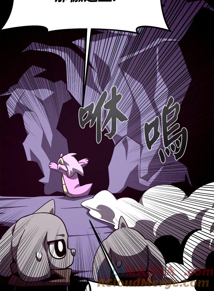 第219页
