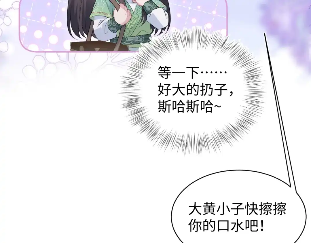 第213页