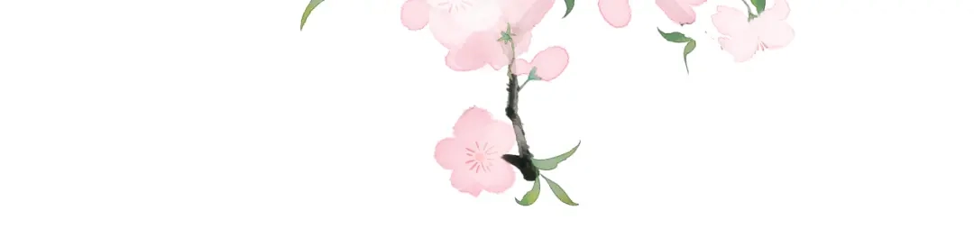 第237页
