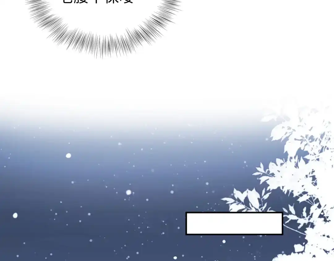 第241页