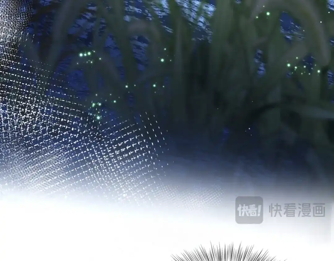 第269页