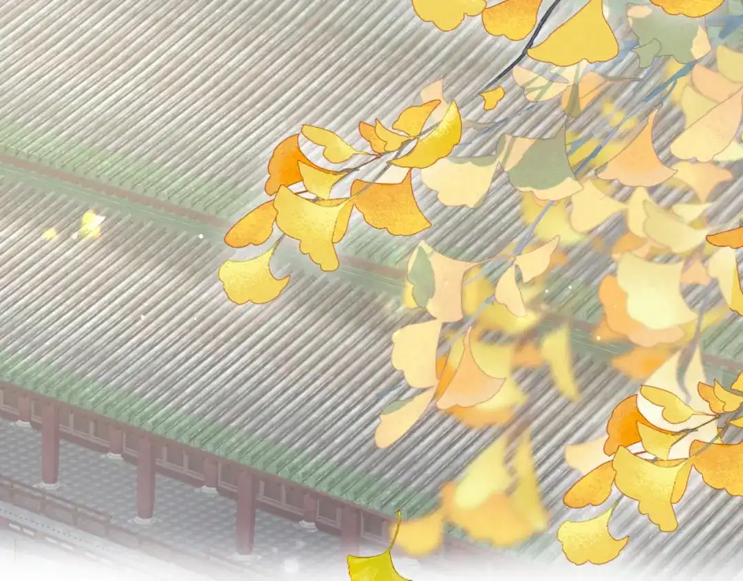 第311页