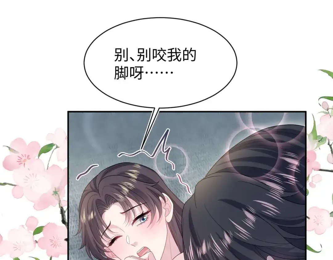 第242页