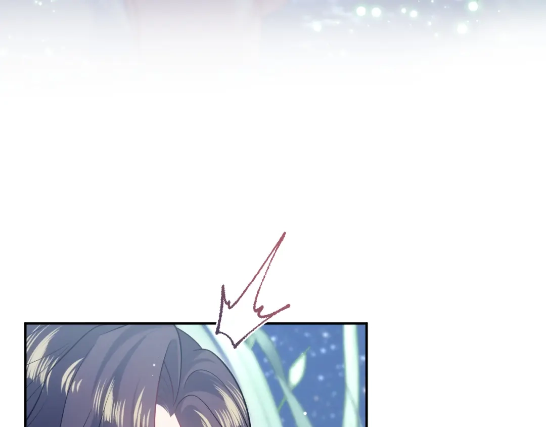 第338页