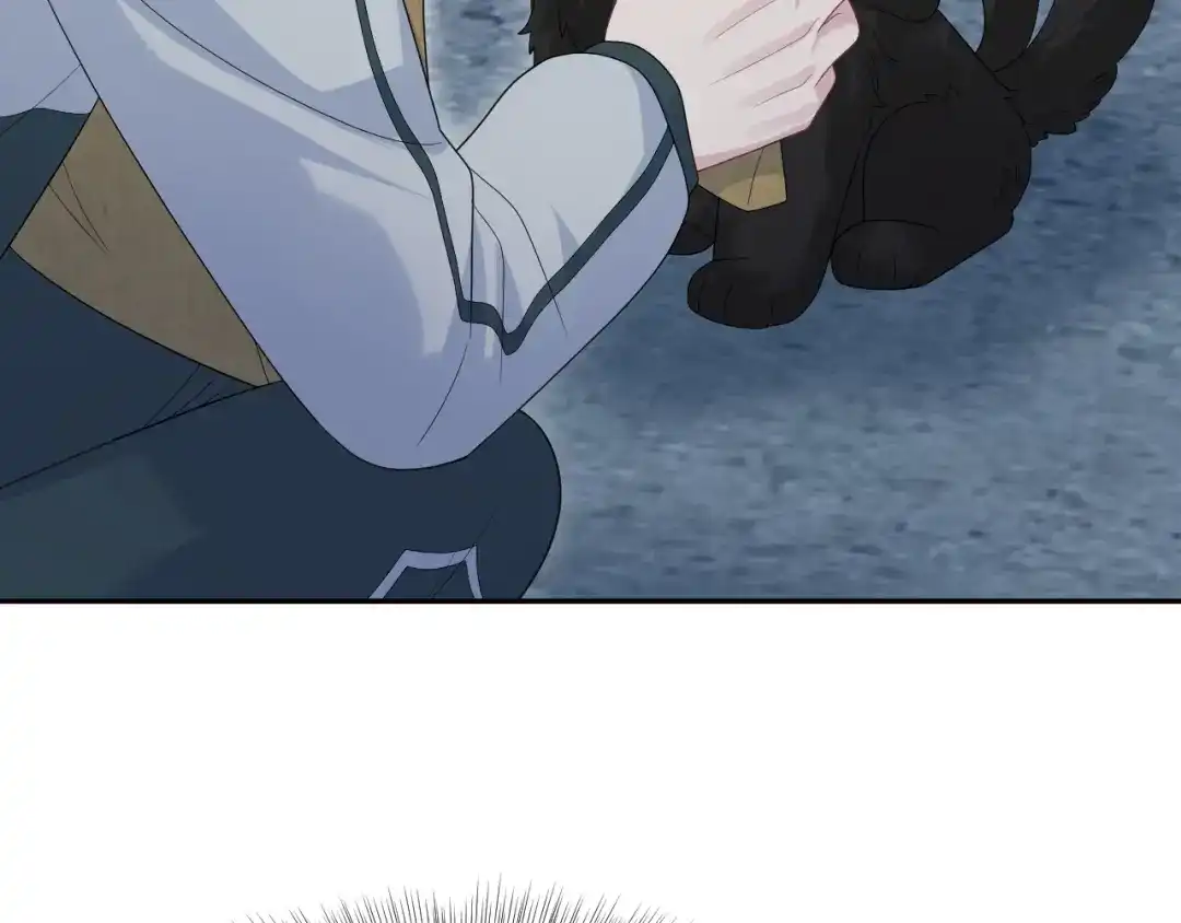 第202页