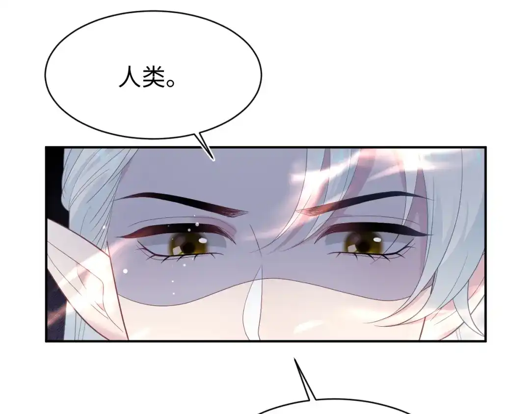 【快穿】绝美白莲在线教学 536 第489页
