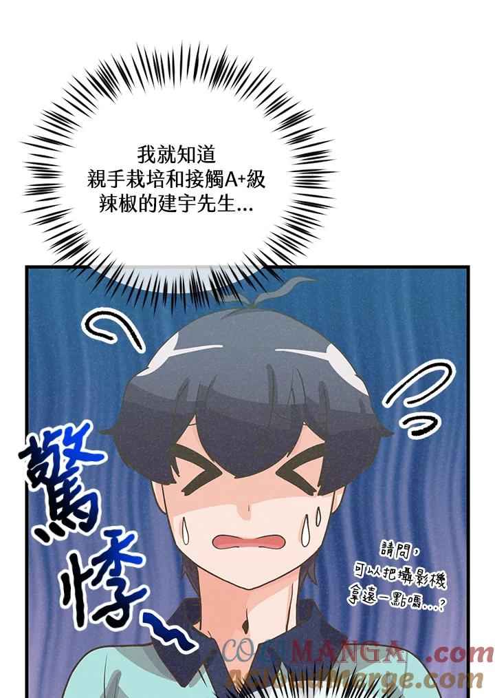 第313页