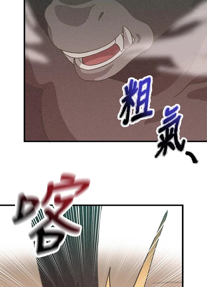 第247页