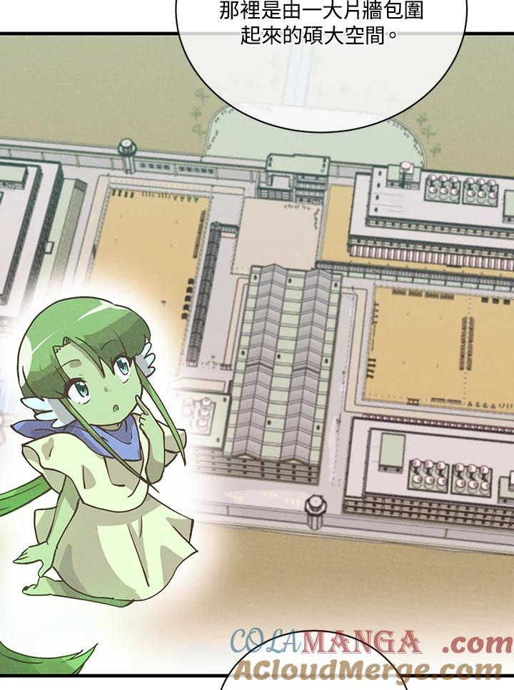 第231页
