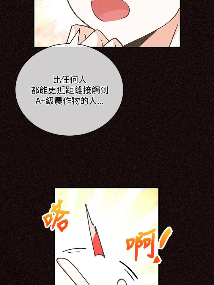 第288页