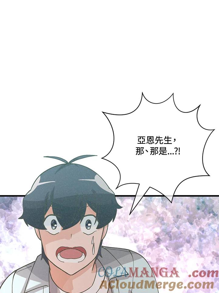 第255页
