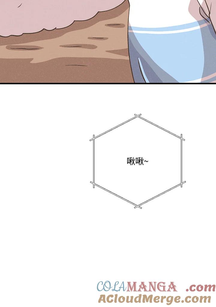 第243页