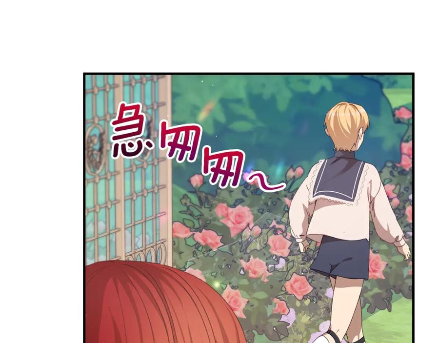 第231页