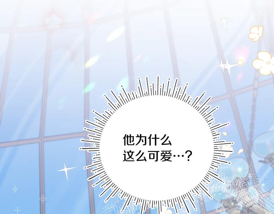 第233页