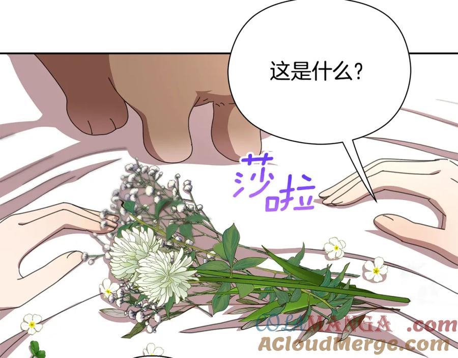 第205页